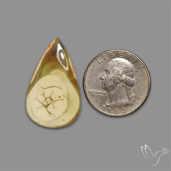 Imperial Jasper Cabochon
