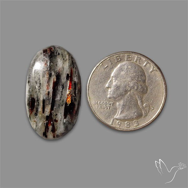 Astrophyllite Cabochon