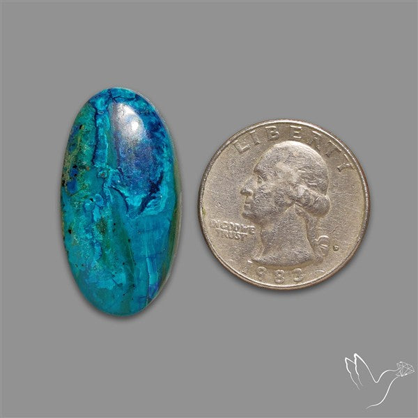 Chrysocolla Cabochon