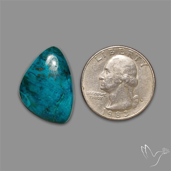 Chrysocolla Cabochon