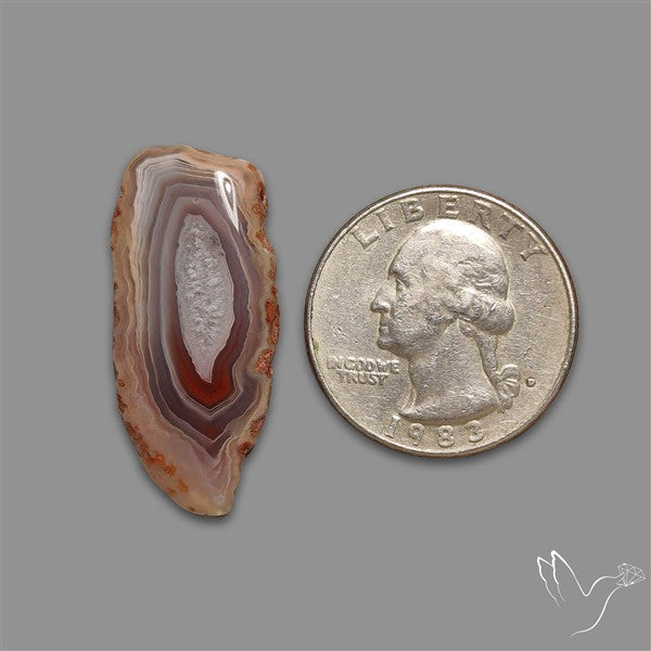 Botswana Agate Slice