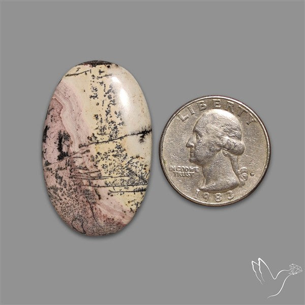 Sonoran Dendritic Rhyolite Cabochon