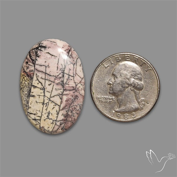 Sonoran Dendritic Rhyolite Cabochon