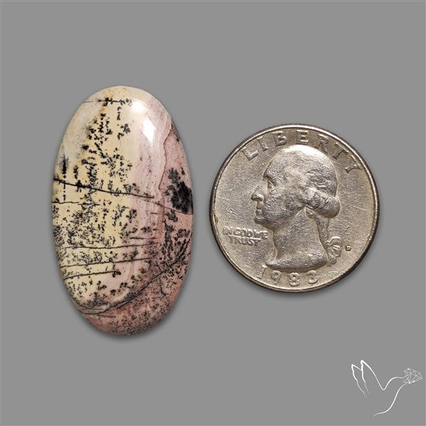 Sonoran Dendritic Rhyolite Cabochon