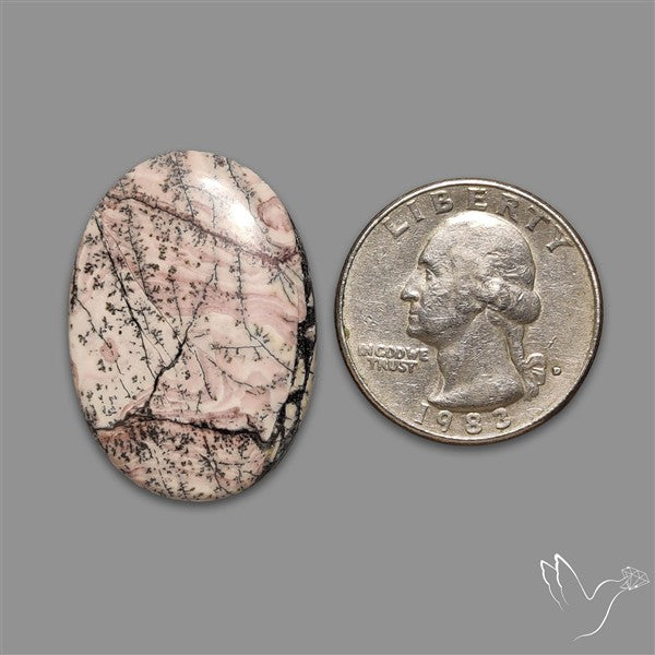 Sonoran Dendritic Rhyolite Cabochon