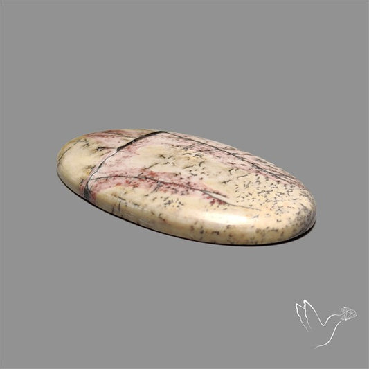 Sonoran Dendritic Rhyolite Cabochon