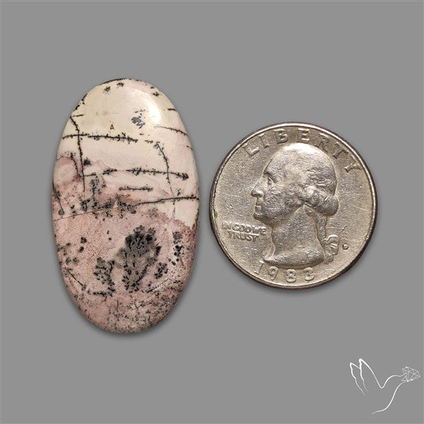 Sonoran Dendritic Rhyolite Cabochon