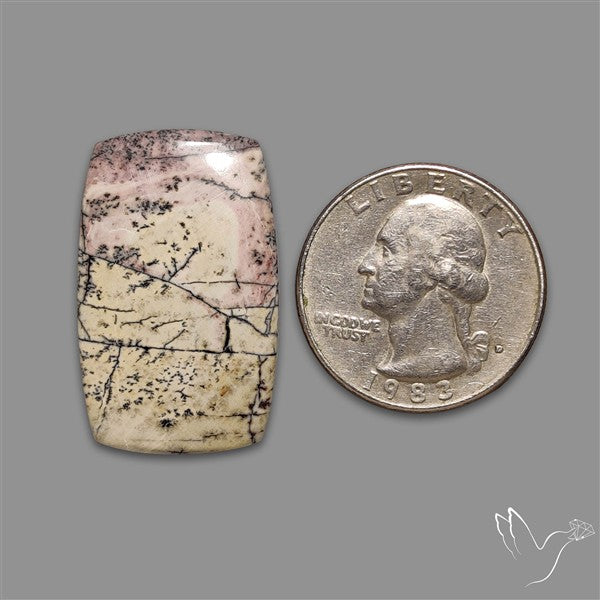 Sonoran Dendritic Rhyolite Cabochon