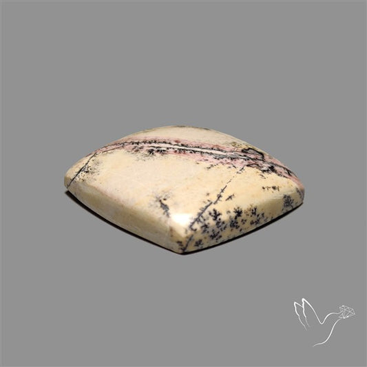 Sonoran Dendritic Rhyolite Cabochon