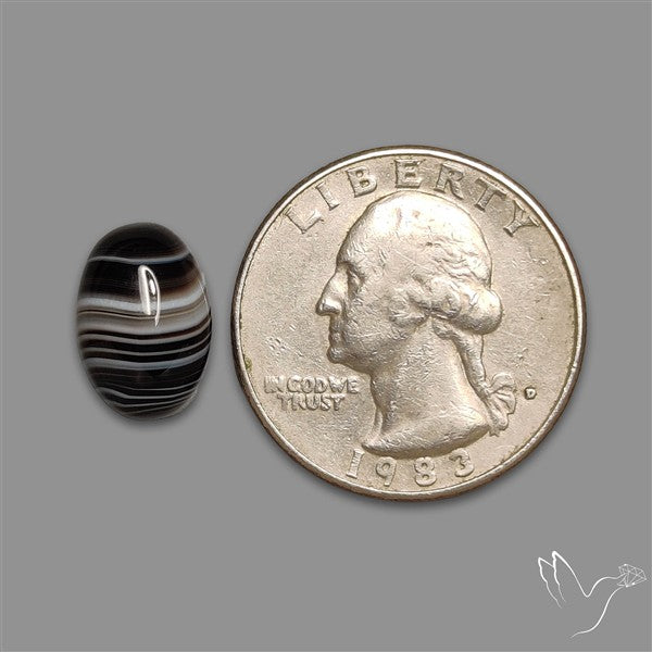 Tuxedo Agate Black Banded Agate Cabochon