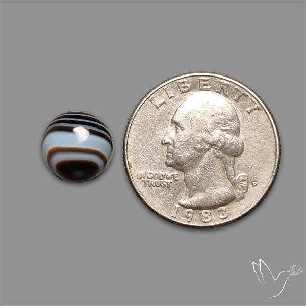 Tuxedo Agate Black Banded Agate Cabochon