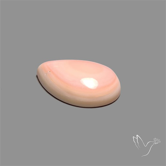 Caribbean Rare Pink Conch Shell Cabochon