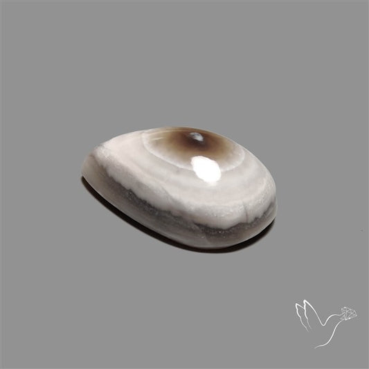 Owyhee Opal Eye Cabochon