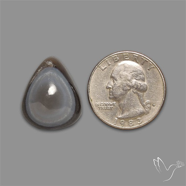 Owyhee Opal Eye Cabochon