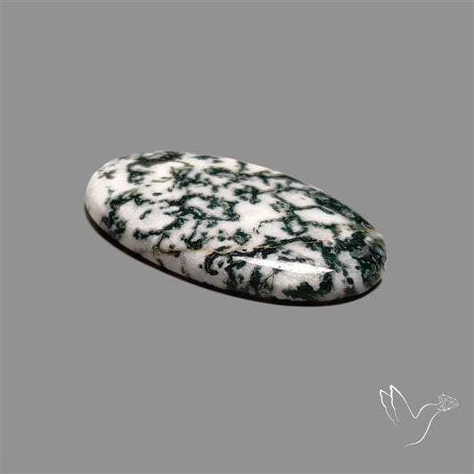 Tree Agate Cabochon