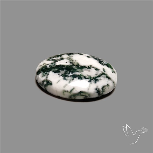 Tree Agate Cabochon