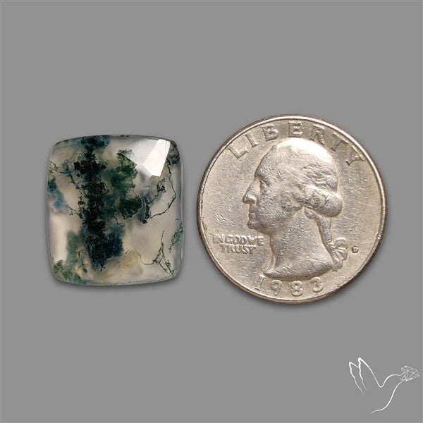 Checkerboard Cut Moss Agate
