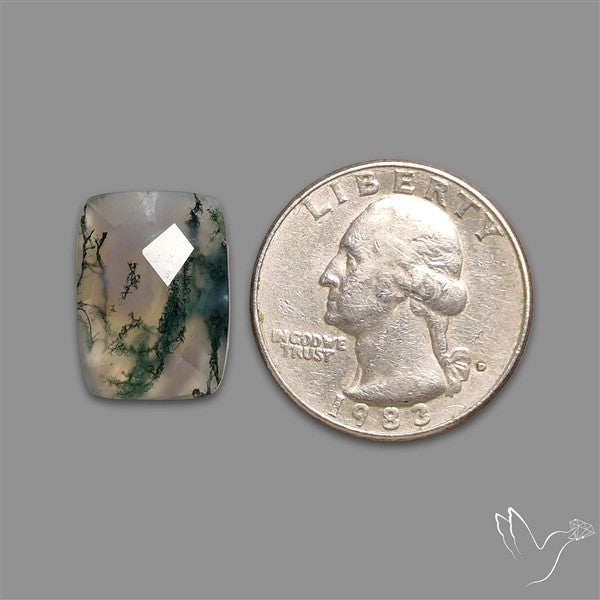 Checkerboard Cut Moss Agate