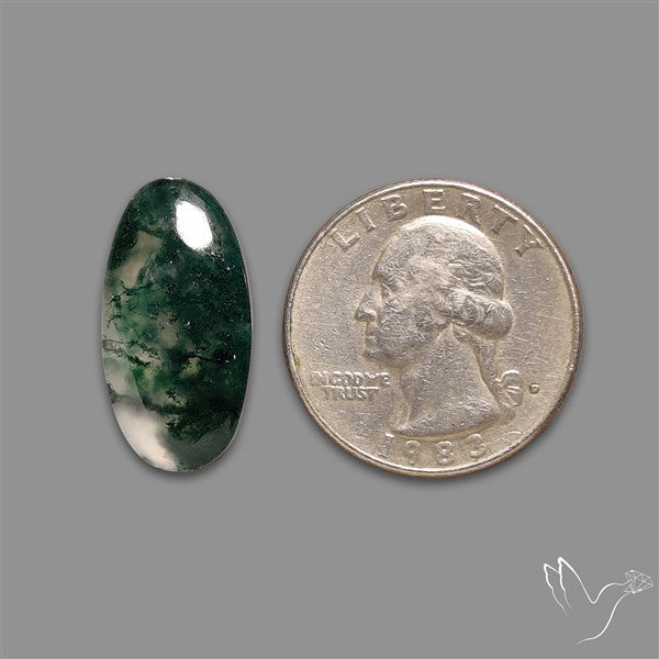 Moss Agate Cabochon
