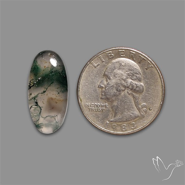 Moss Agate Cabochon