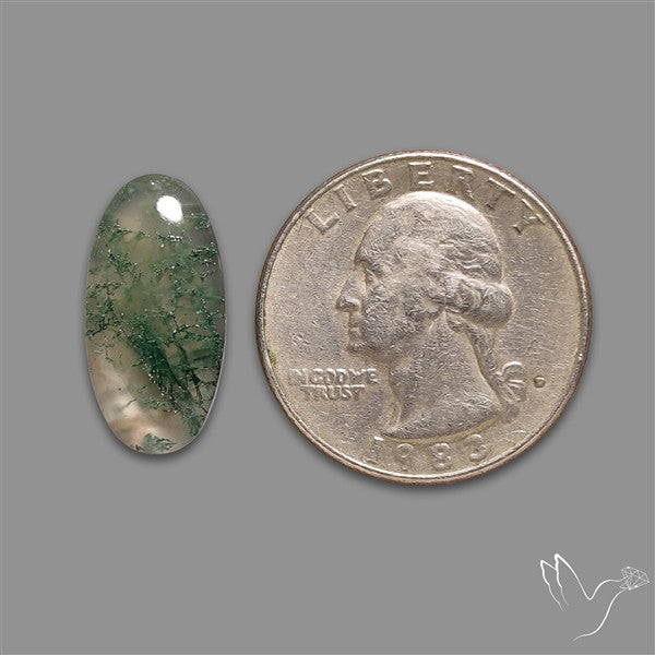 Moss Agate Cabochon