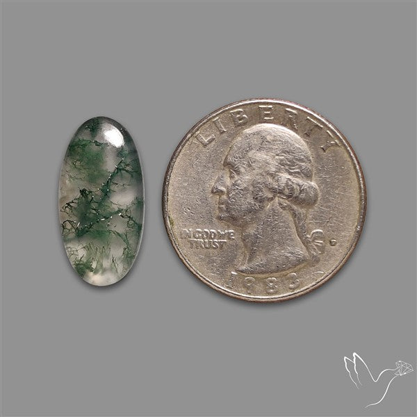Moss Agate Cabochon