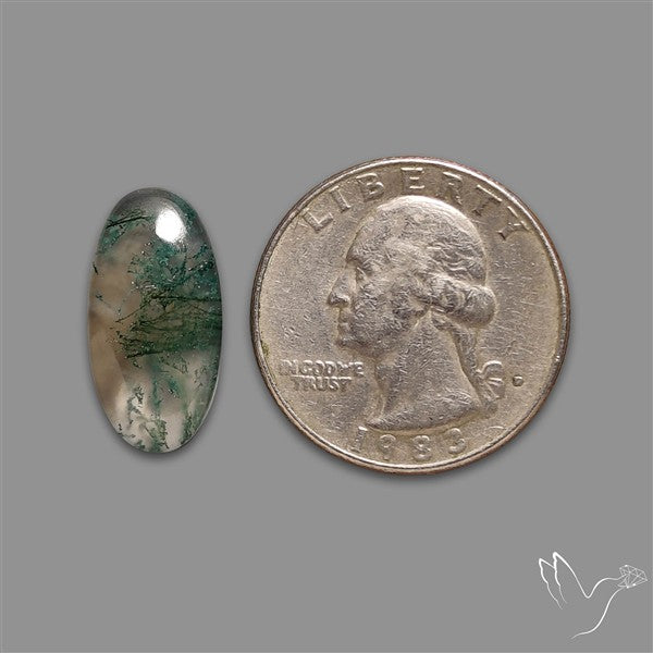 Moss Agate Cabochon