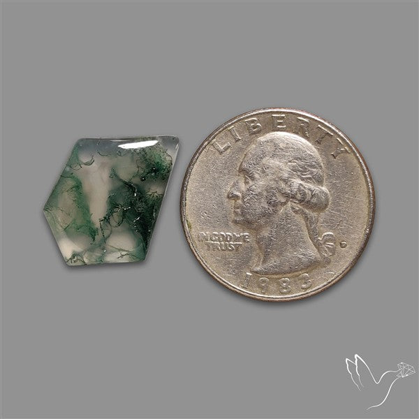 Moss Agate Cabochon