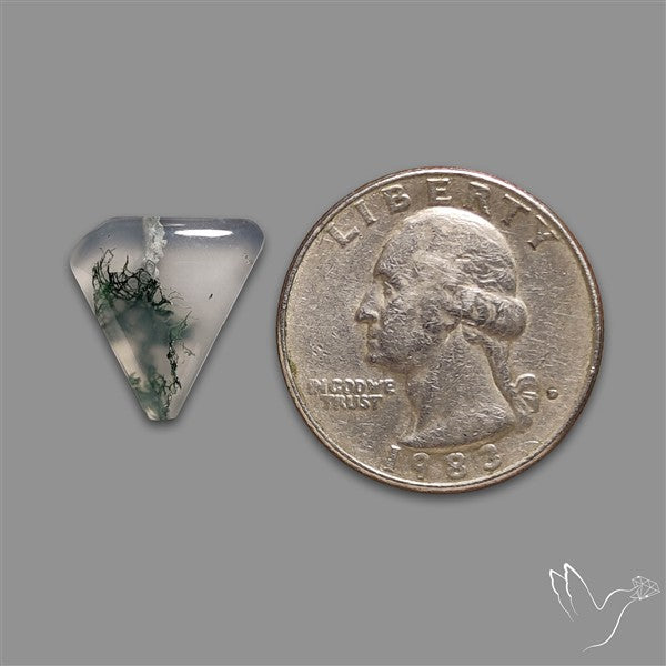 Moss Agate Cabochon