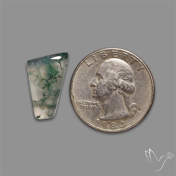 Moss Agate Cabochon