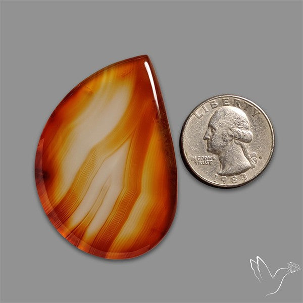 Montana Agate Slice Cabcohon Flat Cut