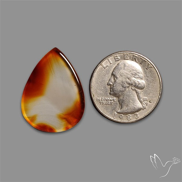 Montana Agate Slice Cabcohon Flat Cut