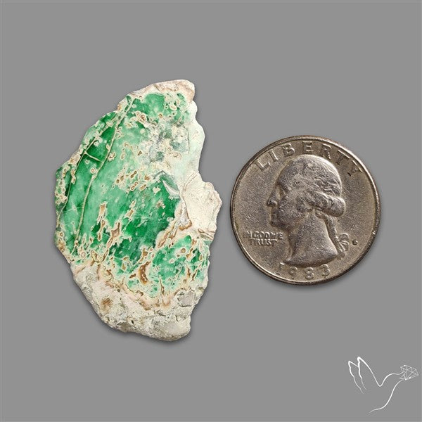 Utah Lucin Variscite Slice Uneven Freeform Polished