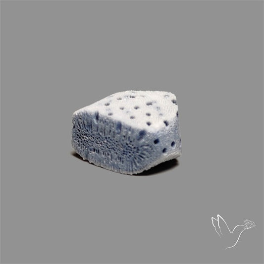 Raw Face Blue Sponge Coral