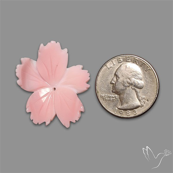 Pink Conch Shell Floral Carving Top Grade Deep Pink