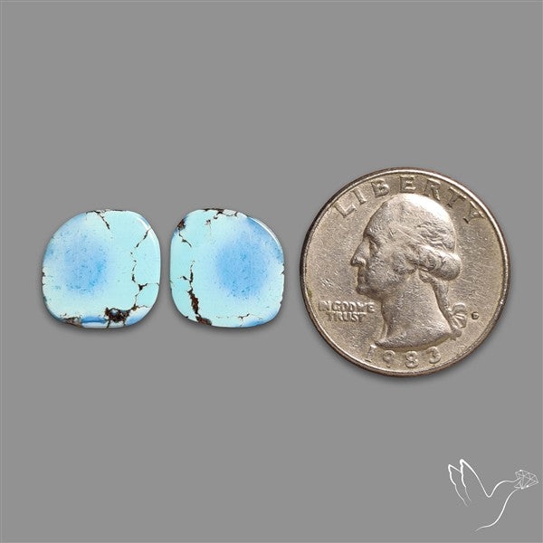 Rare Golden Hill Turquoise Pair
