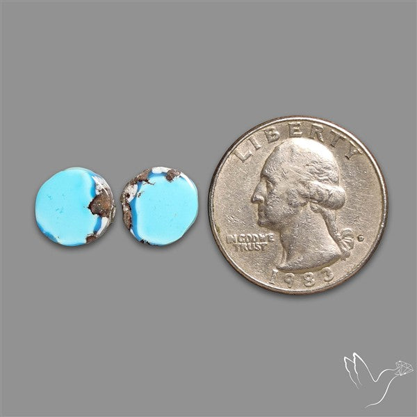Rare Golden Hill Turquoise Pair