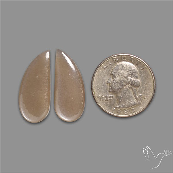 Gray Moonstone Pair