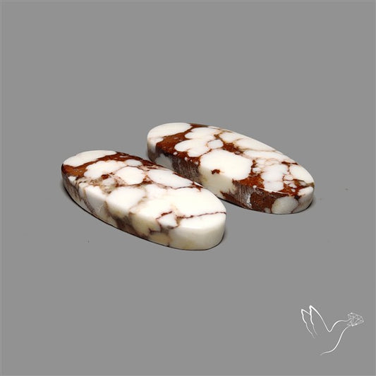 Wild Horse Jasper Pair