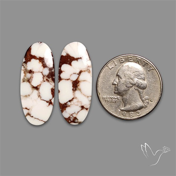 Wild Horse Jasper Pair