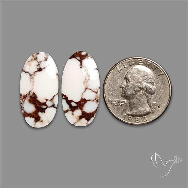 Wild Horse Jasper Pair