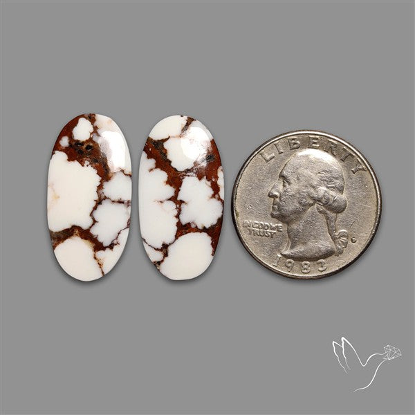 Wild Horse Jasper Pair