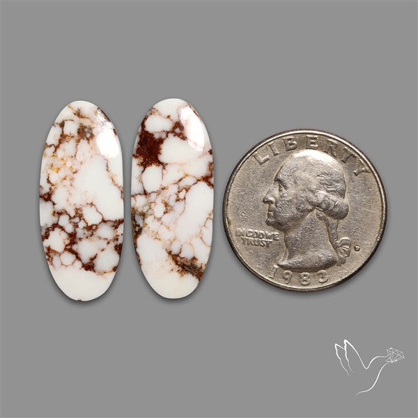 Wild Horse Jasper Pair