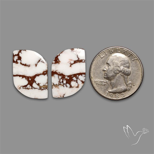 Wild Horse Jasper Pair