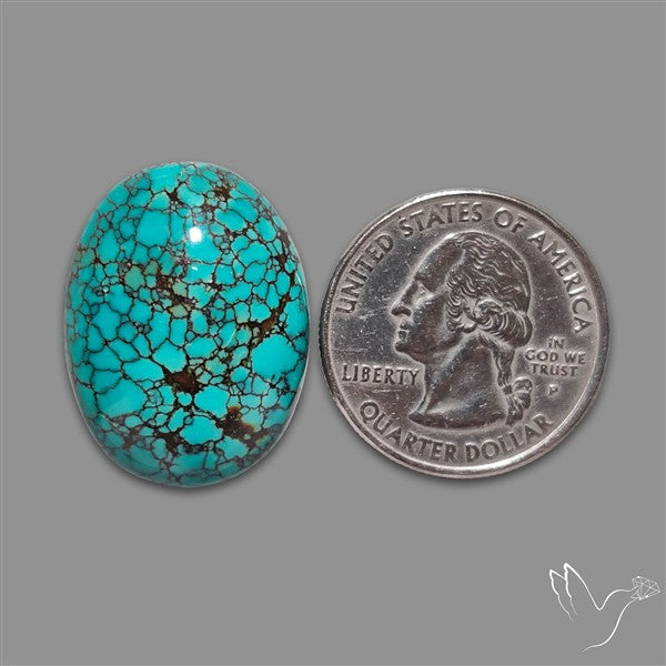 Spiderweb Hubei Turquoise Cabochon
