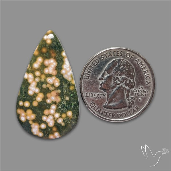 Orbicular Ocean Jasper Cabochon