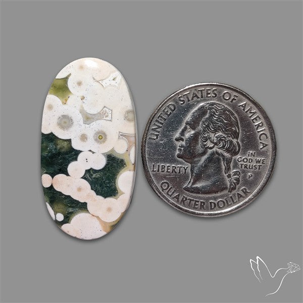 Orbicular Ocean Jasper Cabochon