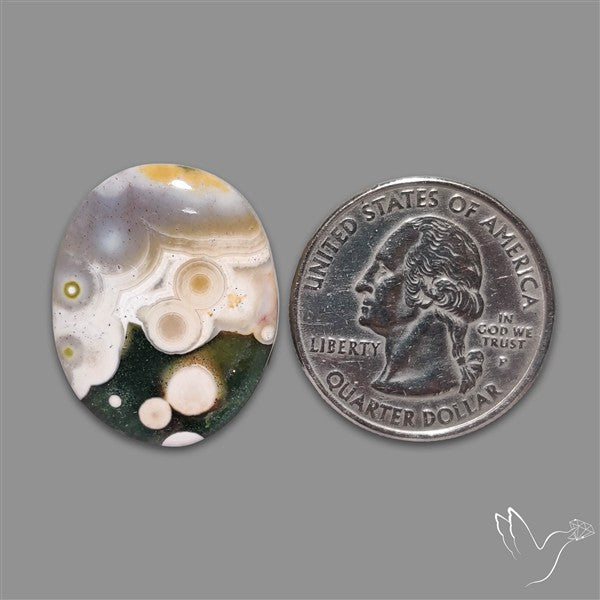 Orbicular Ocean Jasper Cabochon