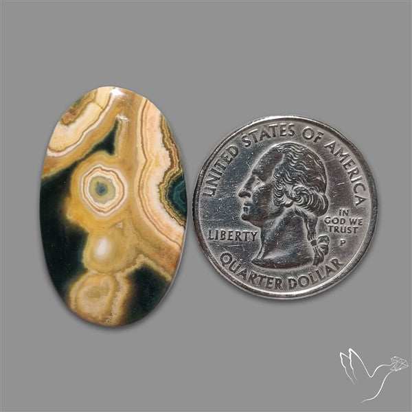 Orbicular Ocean Jasper Cabochon