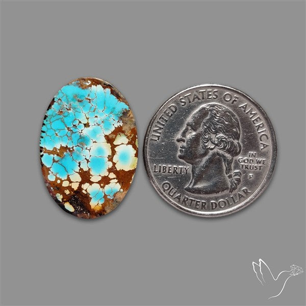 Rare Nishapuri Feroza Turquoise Cabochon Authentic